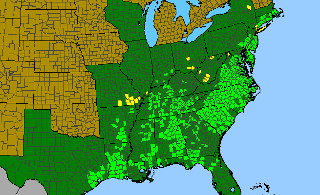 The range of Eupatorium hyssopifolium